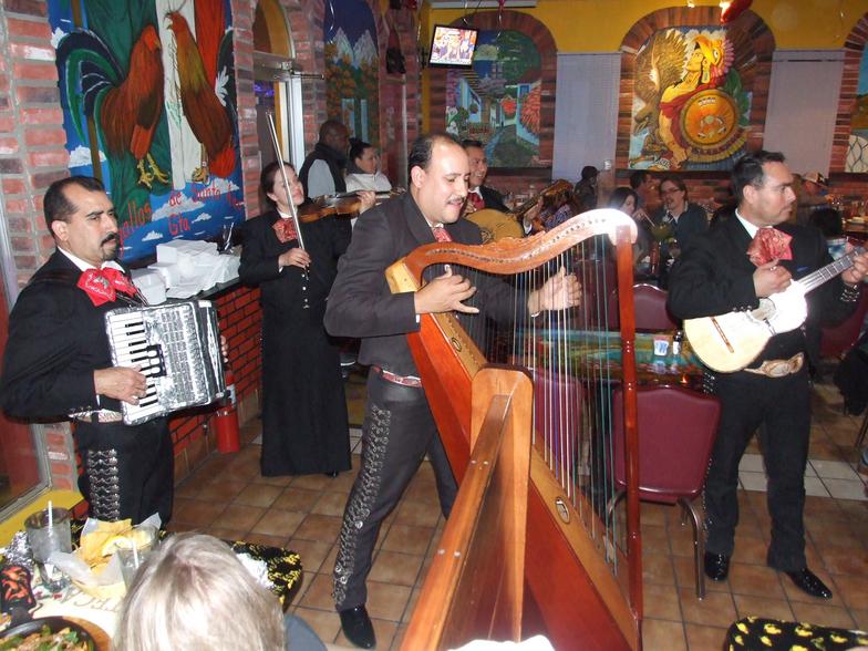 Mariachi Band Performing at Los Jimadores in Peoria